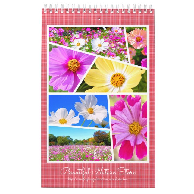 Cosmos Calendar (Back)