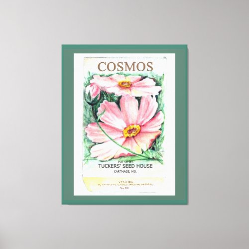 Cosmos Canvas Print