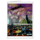 Cosmos Cards (Front)