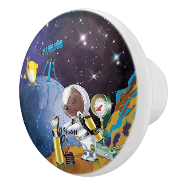 cosmos ceramic knob (Right)