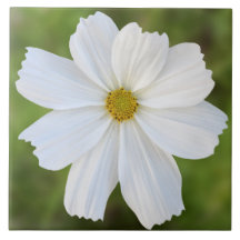 Cosmos Ceramic Tile