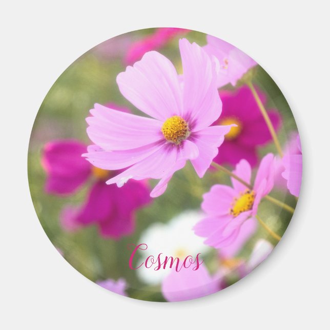 Cosmos [Circle Magnet] Magnet (Front)