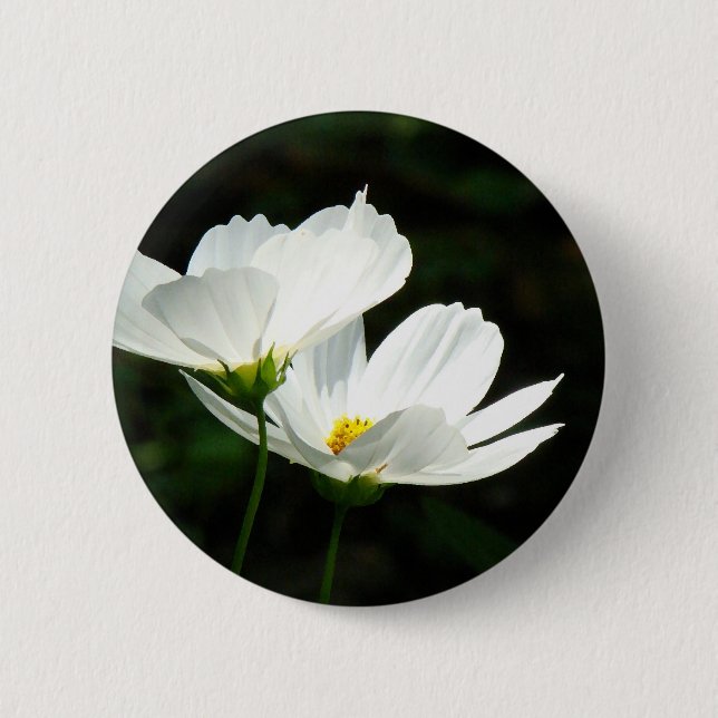 Cosmos Daisy Flowers Button (Front)
