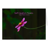 Cosmos:Earth Laughs in Flowers (Front Horizontal)