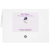 Cosmos:Earth Laughs in Flowers Cards (Back Horizontal)