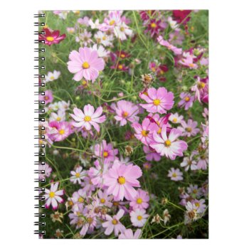 Cosmos Flower (bidens Formosa). Kirkwood Notebook by OneWithNature at Zazzle