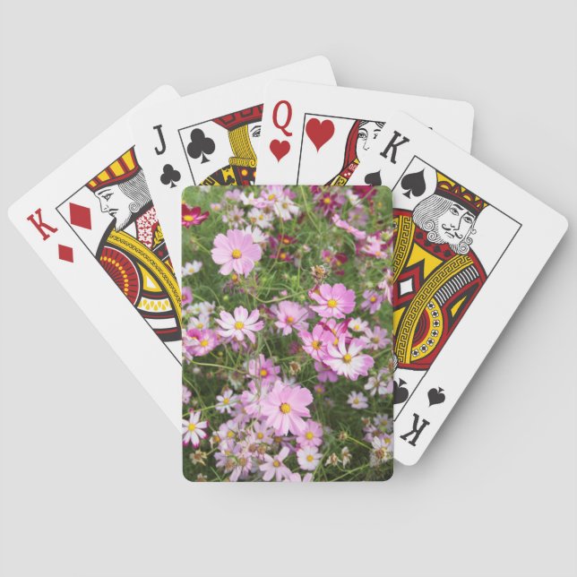 Cosmos Flower (Bidens Formosa). Kirkwood Poker Cards (Back)