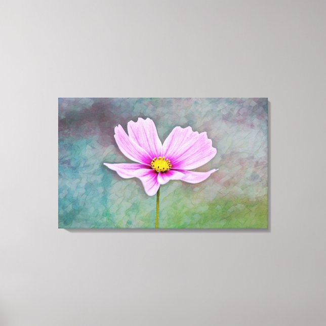 Cosmos Flower in Pink Photographic Art Canvas Print (Front)