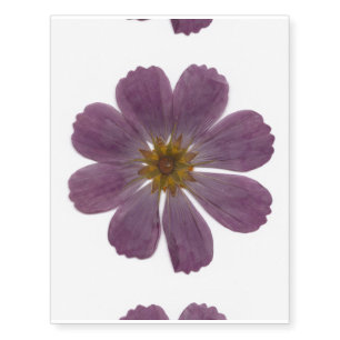 cosmos flower temporary tattoo