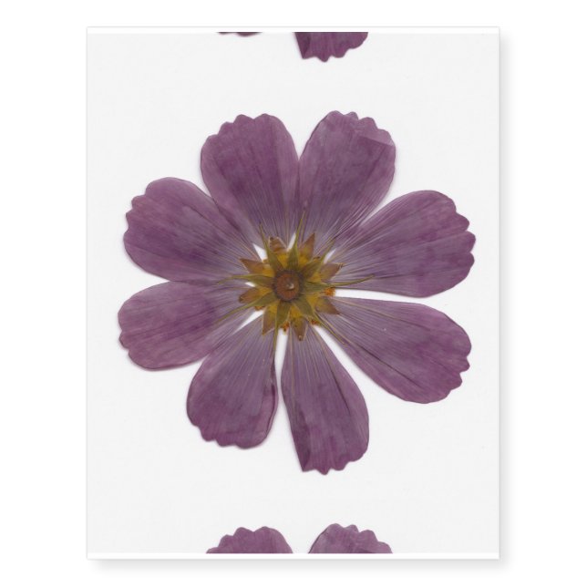 cosmos flower temporary tattoo (Front)