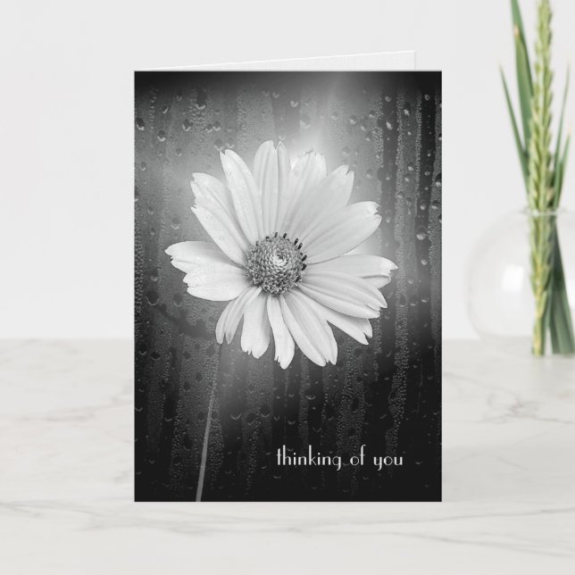 Cosmos Flower Thinking Of You Card (Front)