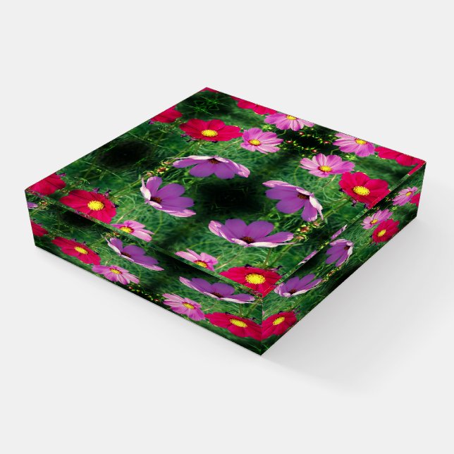 Cosmos Flower Trio Abstract Paperweight (Angled)