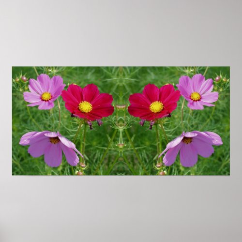 Cosmos Flower Trio Mirror Abstract Poster