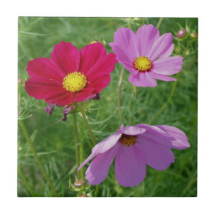 Cosmos Flower Trio Nature Ceramic Tile