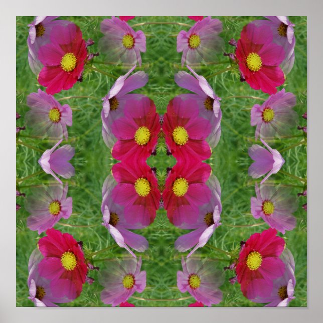 Cosmos Flowers Abstract Nature Poster (Front)