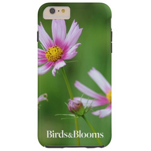 Cosmos Flowers Tough iPhone 6 Plus Case