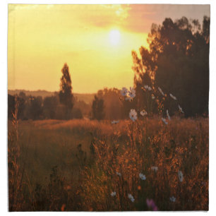 Cosmos flowers in sunset cloth napkin