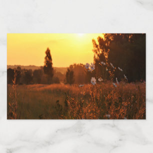 Cosmos flowers in sunset envelope liner