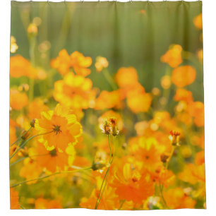 Cosmos flowers in the field of Lumphun province co Shower Curtain