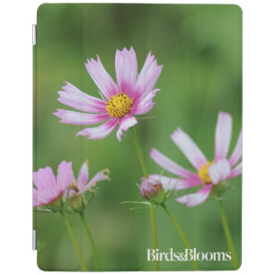 Cosmos Flowers iPad Smart Cover