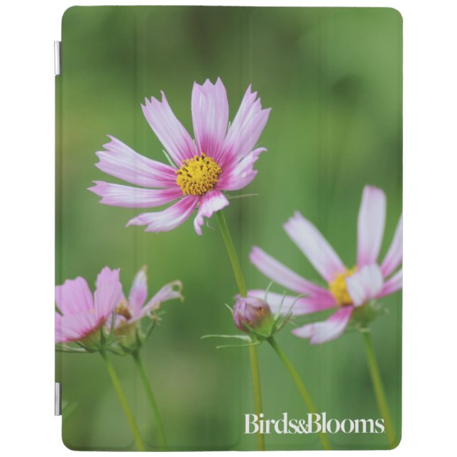 Cosmos Flowers iPad Smart Cover (Front)