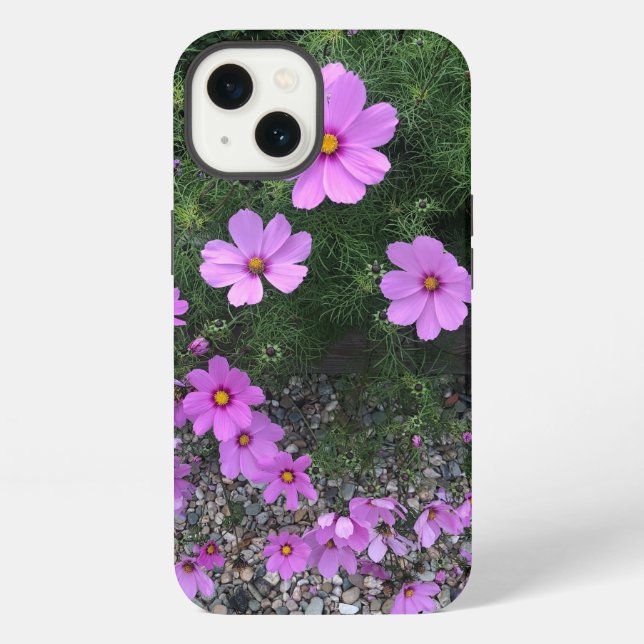 Cosmos flowers with pebbles On a Iphone Case (Back)