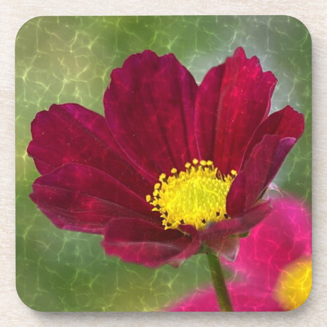 Cosmos Glory Drink Coaster (Front)