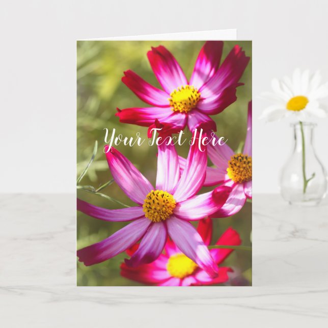 Cosmos [Greeting Card] Card (Small Plant)