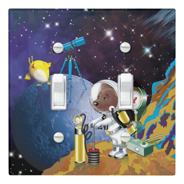 cosmos light switch cover (In Situ)