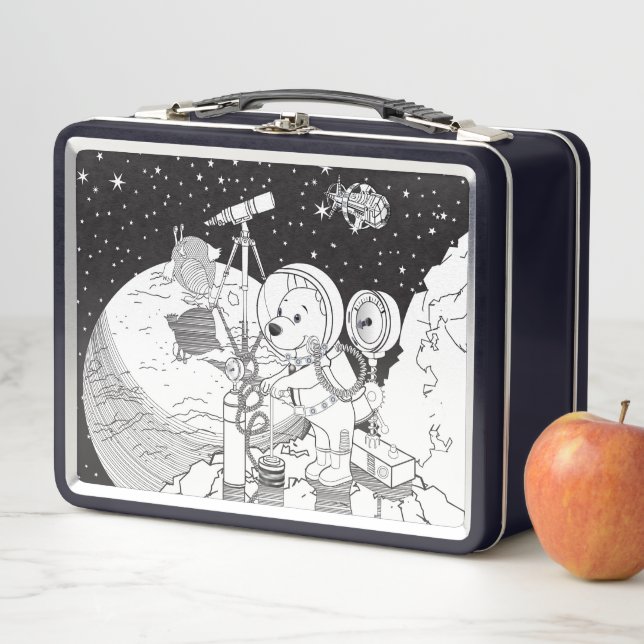 cosmos metal lunch box (In Situ)