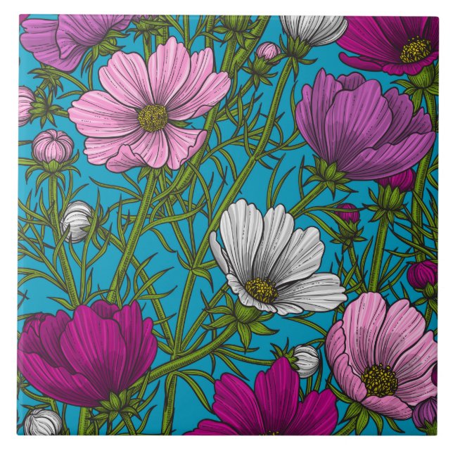 Cosmos mix on blue ceramic tile (Front)