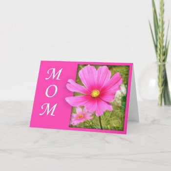 Cosmos Mother's Day Card (large Print) by PinkiesEZ2C at Zazzle