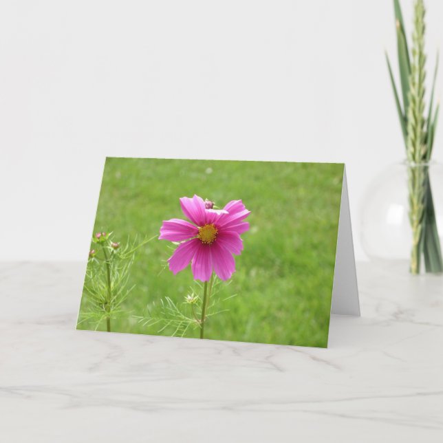 Cosmos notecard (Front)