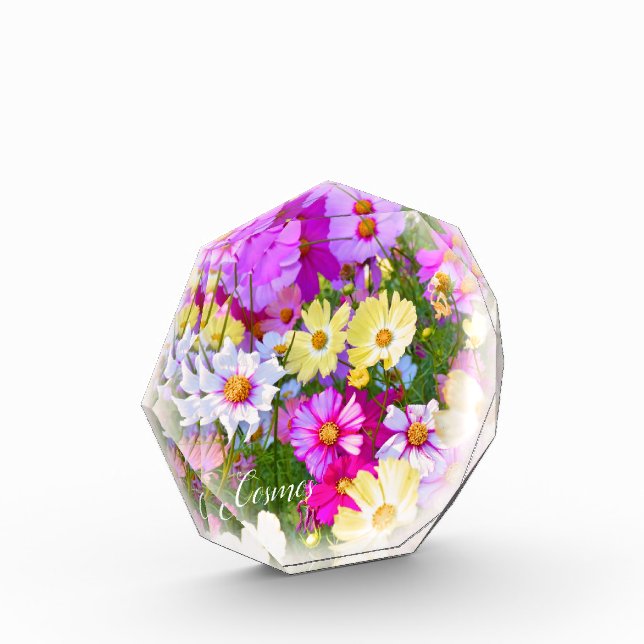 Cosmos Photo Block (Left)