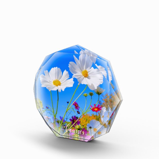 Cosmos Photo Block (Right)