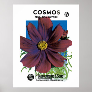Cosmos Poster