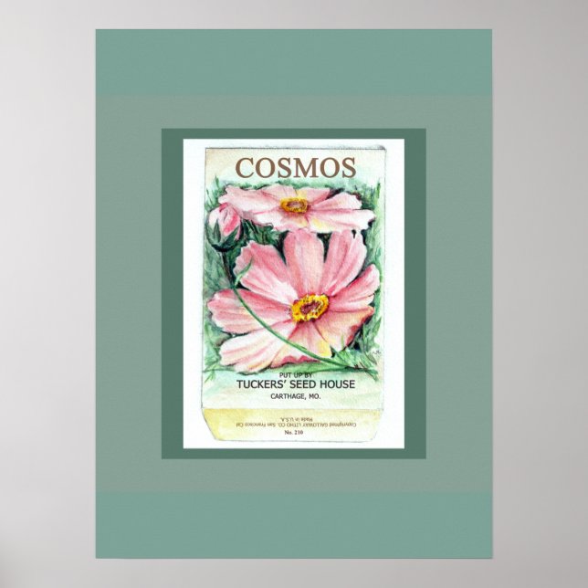 Cosmos Seed Packet Poster (Front)