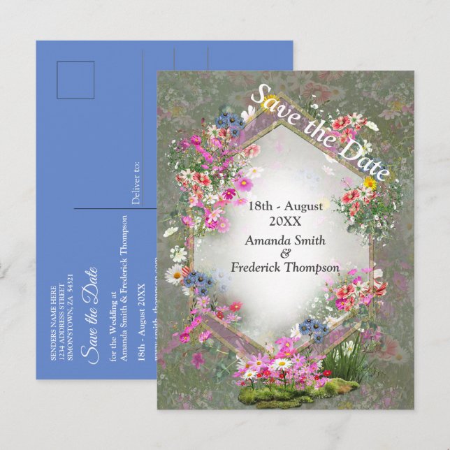 Cosmos Wilderness Wild-Flowers Announcement Postcard (Front/Back)