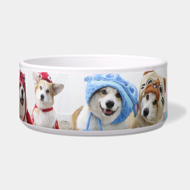 Cosplay Corgis Ceramic Pet Bowl (Front)