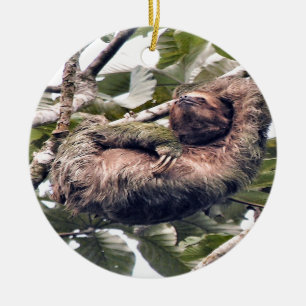 Cosra Rican sloth Ceramic Ornament