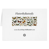 Cossus cossus caterpillar cards (Back Horizontal)