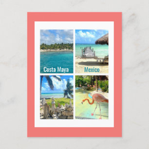 Costa Maya, Mexico Postcard