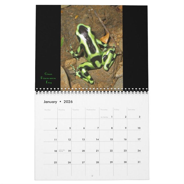 Costa Rica 2011 Calendar (Jan 2026)