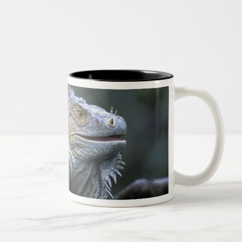 Costa Rica Alajuela Province Muelle San Two_Tone Coffee Mug