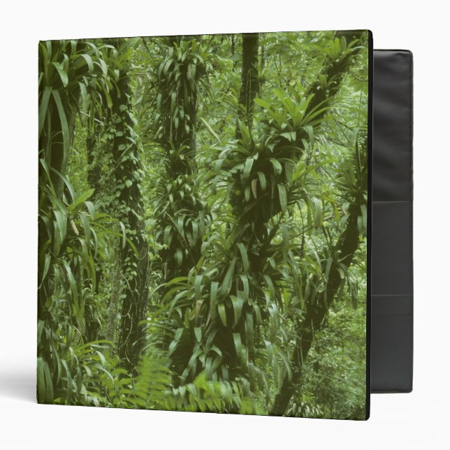 Costa Rica, Arenal National Park, rainforest Binder (Front/Inside)