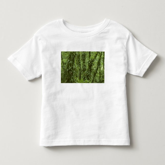 Costa Rica, Arenal National Park, rainforest Toddler T-shirt (Front)