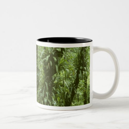 Costa Rica Arenal National Park rainforest Two_Tone Coffee Mug