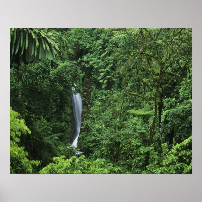Costa Rica, Arenal Volcano area, Hanging Bridges Poster (Front)