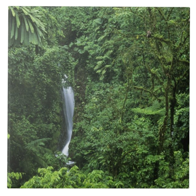 Costa Rica, Arenal Volcano area, Hanging Bridges Tile (Front)