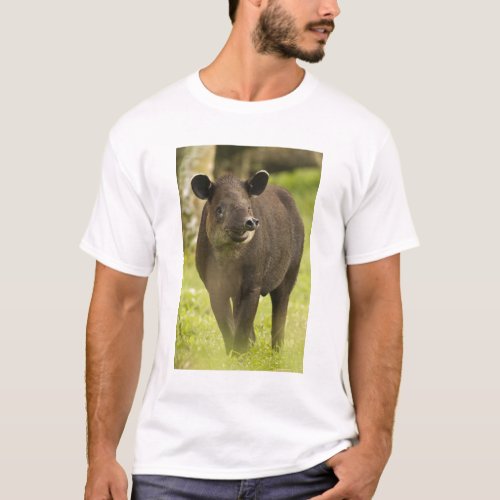 Costa Rica Bairdis Tapir Tapirus bairdii T_Shirt